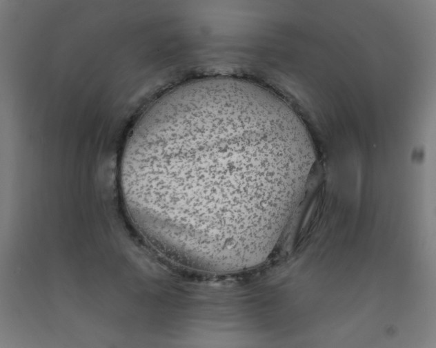 X0000092010737200709271529