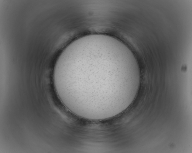 X0000092010738200709271529