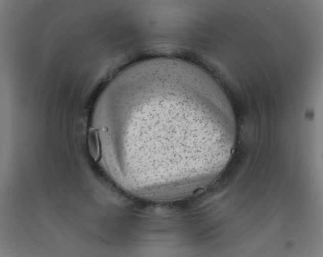 X0000092010739200709271529