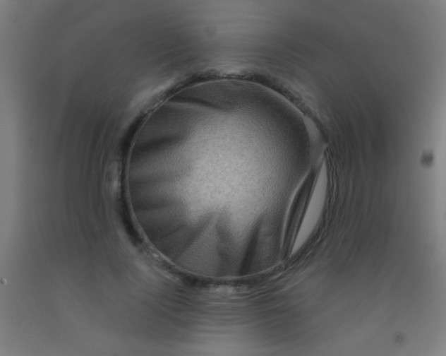 X0000092010740200709271529