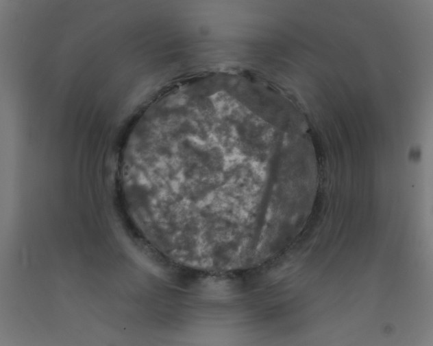 X0000092010742200709271529