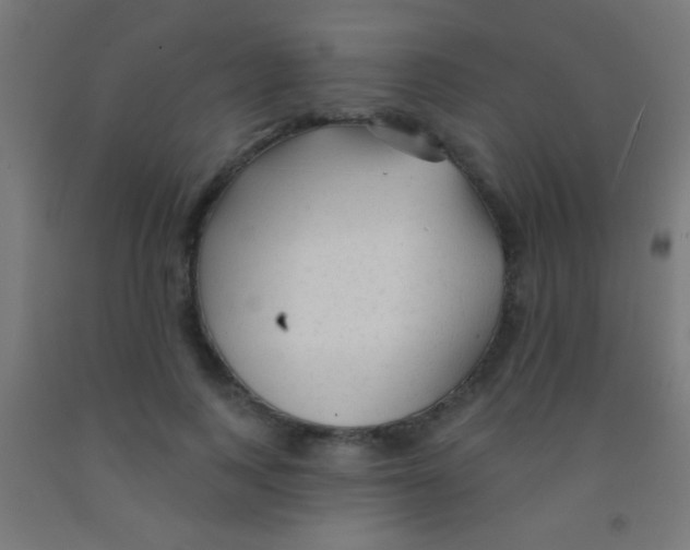 X0000092010743200709271529