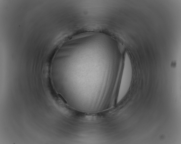 X0000092010744200709271529