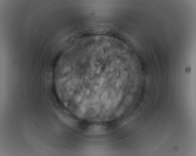 X0000092010745200709271529