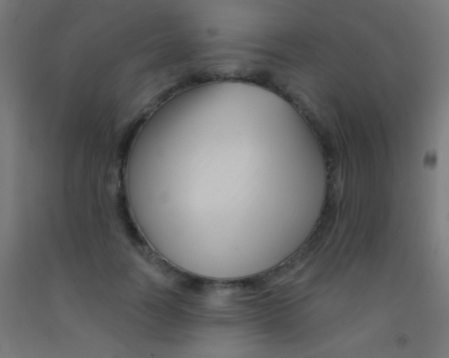 X0000092010746200709271529