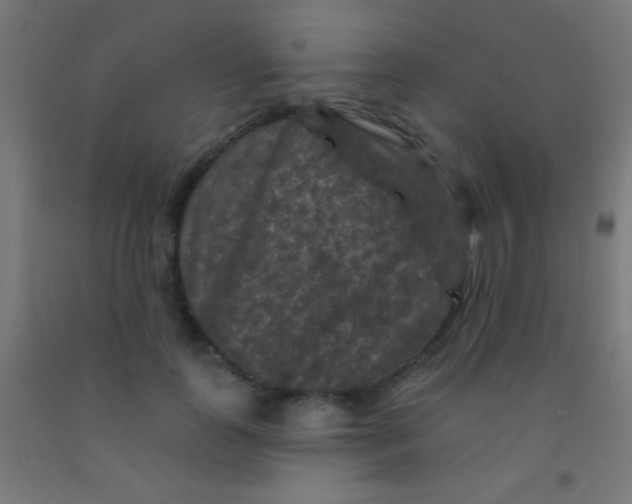 X0000092010747200709271529