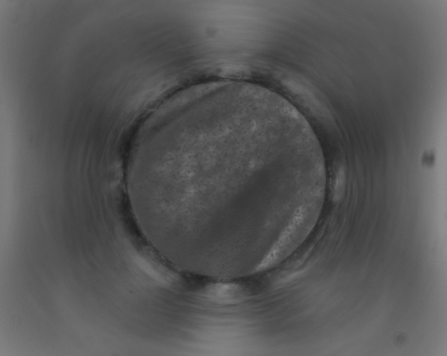 X0000092010748200709271529