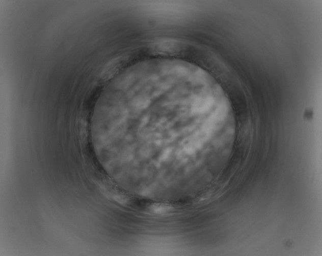 X0000092010749200709271529