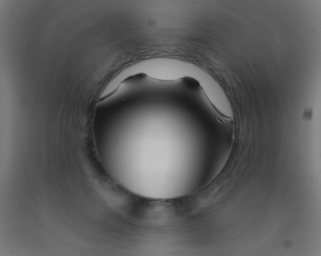 X0000092010750200709271529