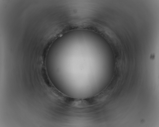 X0000092010752200709271529