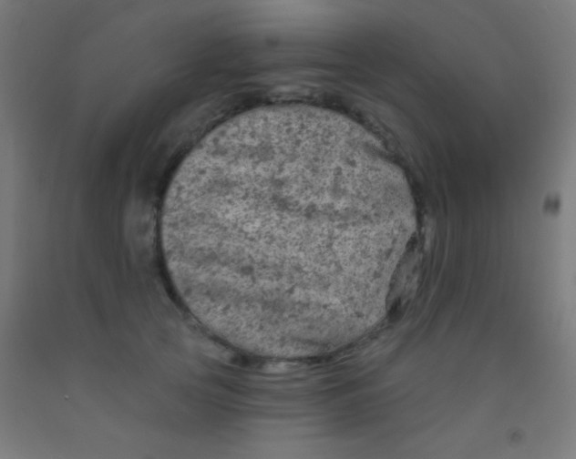 X0000092010753200709271529