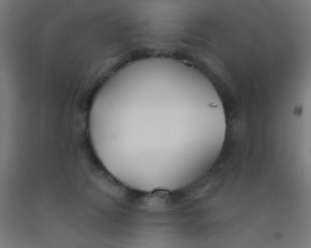 X0000092010756200709271529