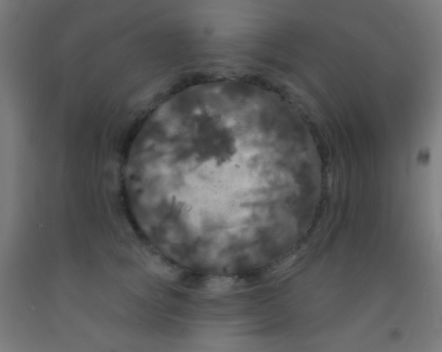 X0000092010757200709271529