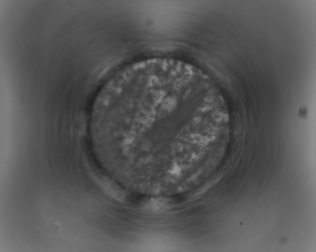 X0000092010758200709271529