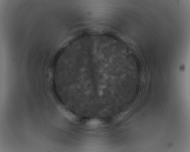 X0000092010759200709271529