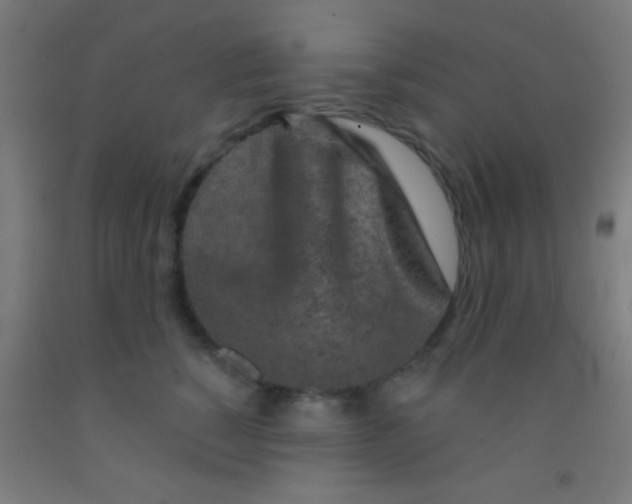 X0000092010760200709271529