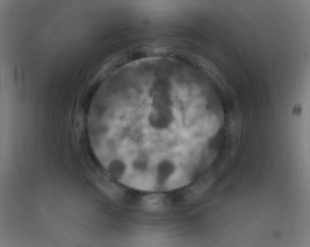 X0000092010761200709271529