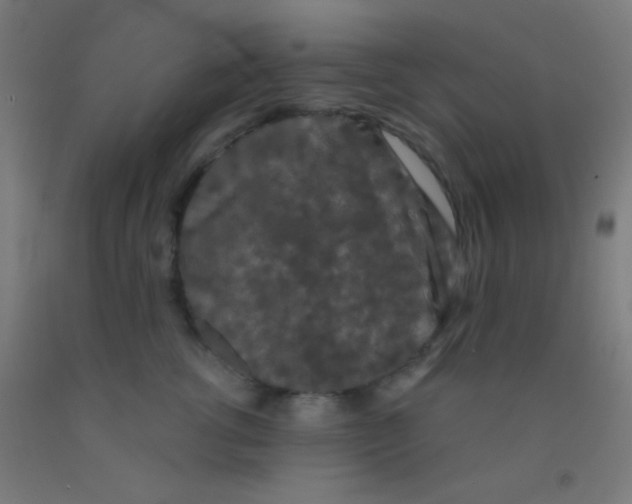 X0000092010762200709271529