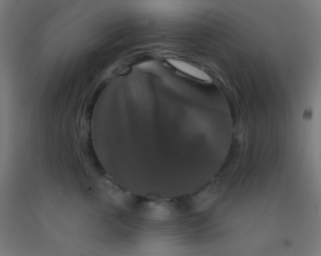 X0000092010763200709271529