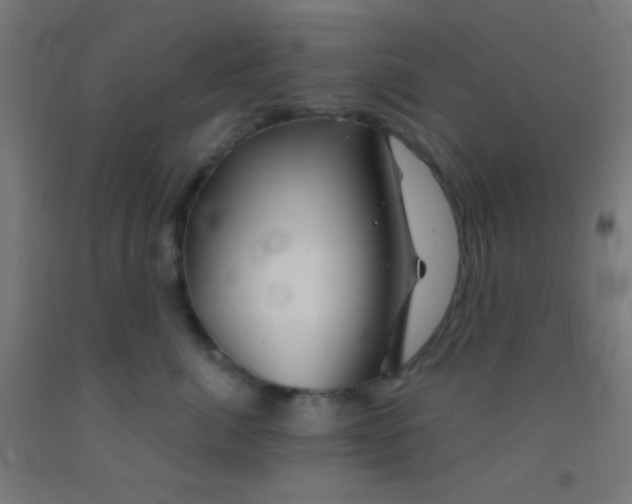 X0000092010764200709271529