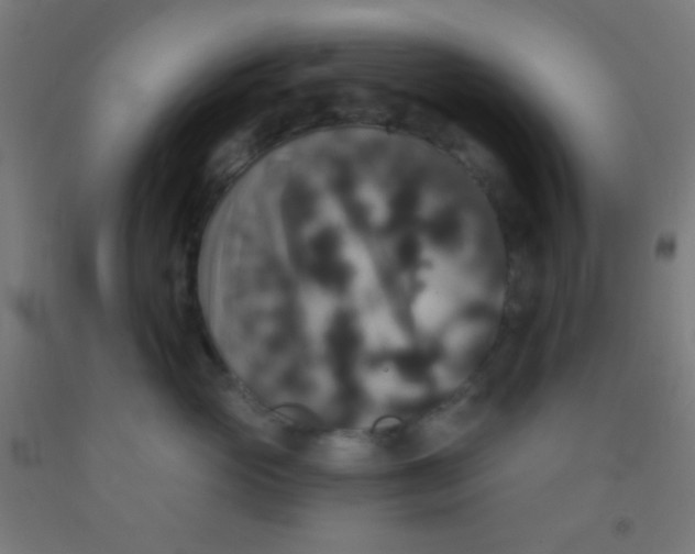 X0000092010765200709271529