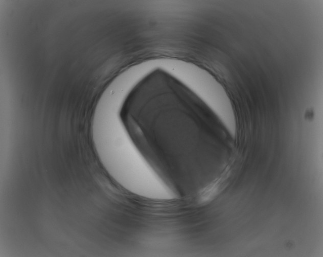 X0000092010766200709271529