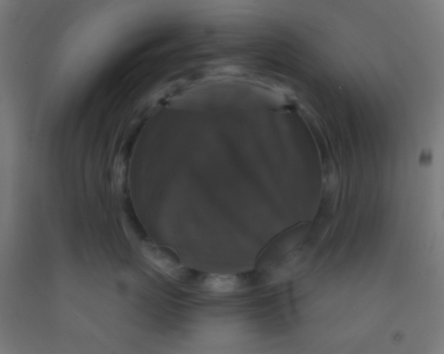 X0000092010767200709271529