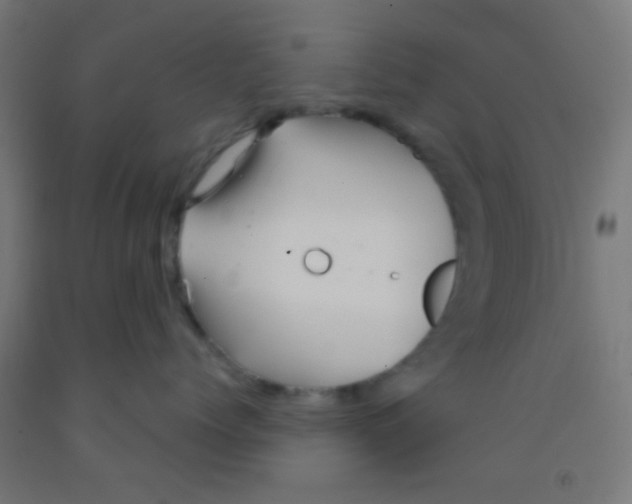 X0000092010768200709271529