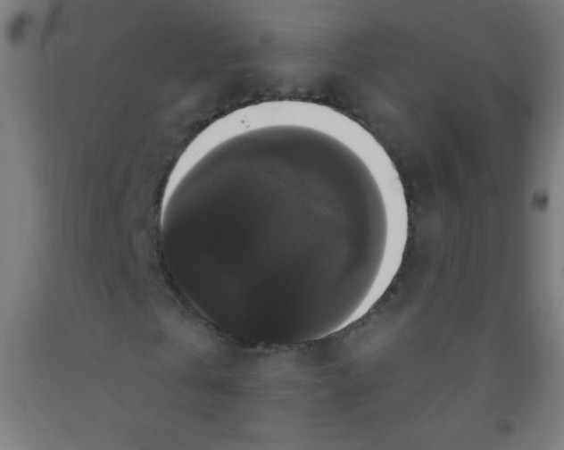 X0000092010769200709271528