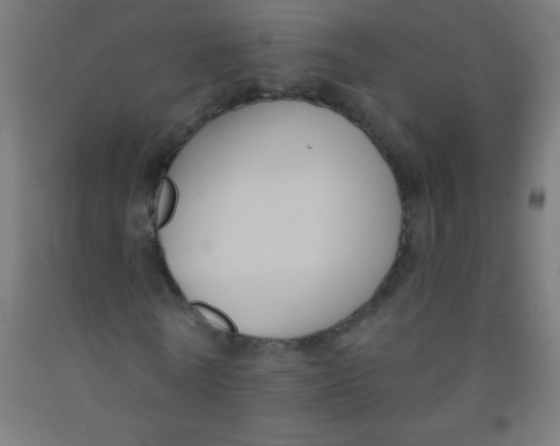 X0000092010770200709271528