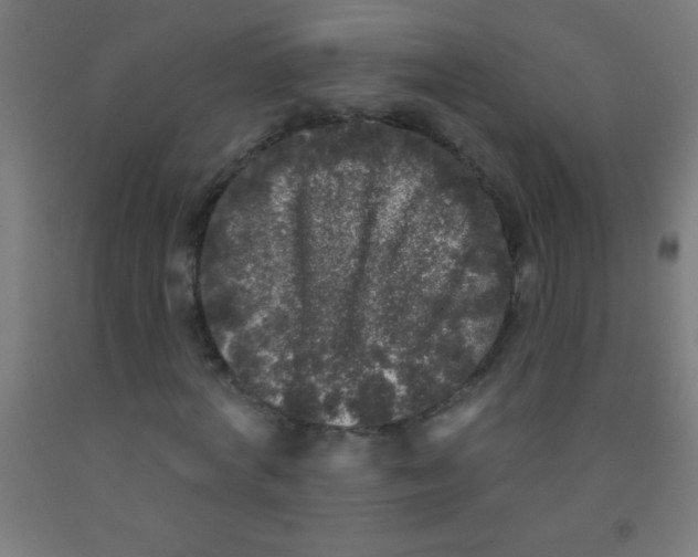 X0000092010772200709271528