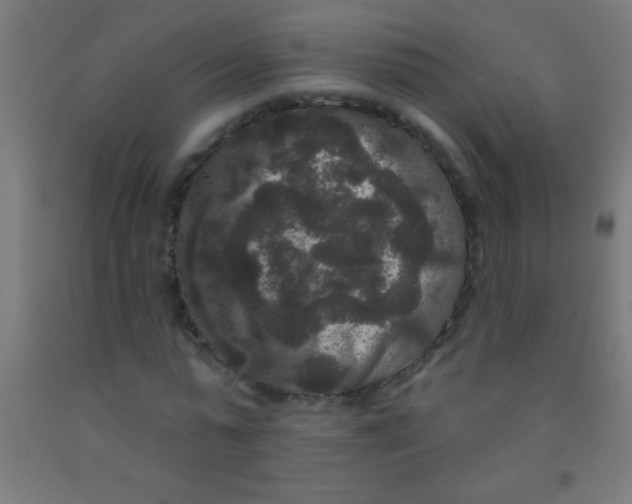 X0000092010775200709271528