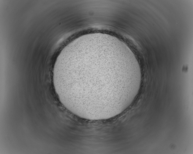 X0000092010776200709271528