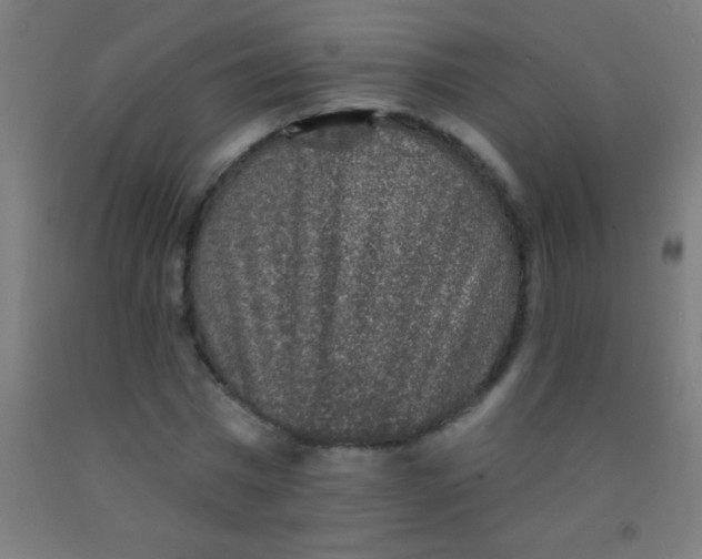 X0000092010777200709271528