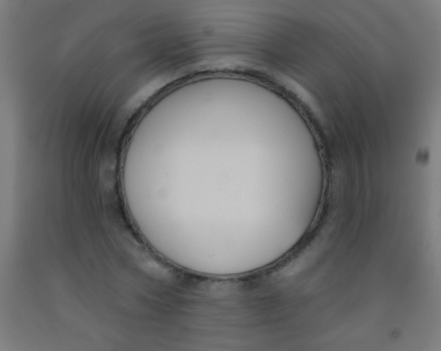 X0000092010778200709271528