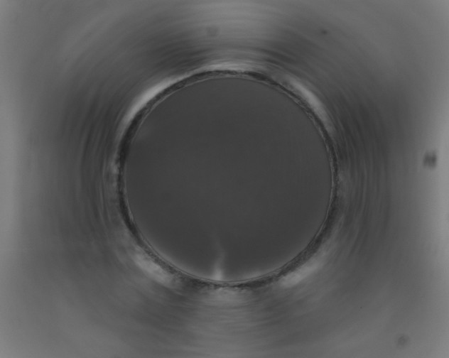 X0000092010779200709271528