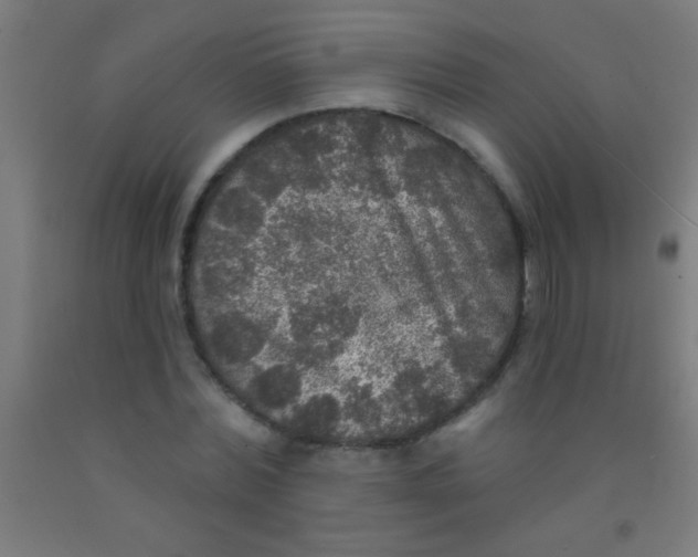 X0000092010780200709271528