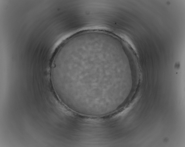 X0000092010781200709271528