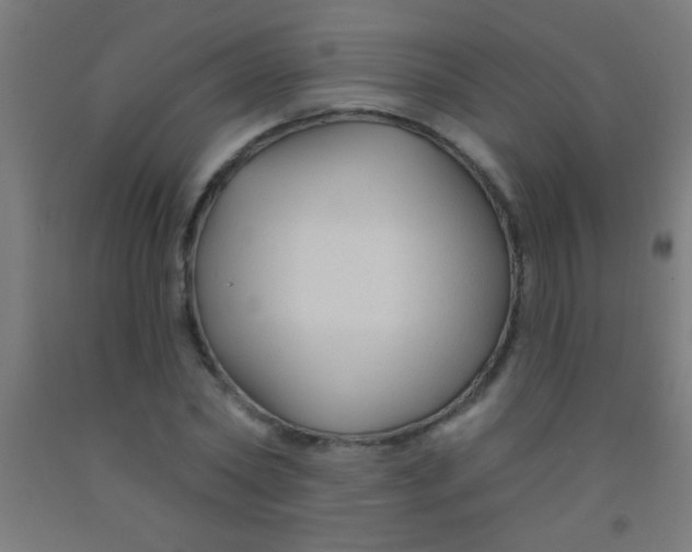 X0000092010782200709271528