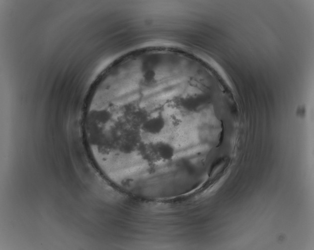 X0000092010783200709271528