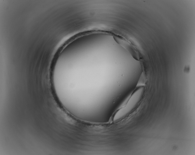 X0000092010784200709271528