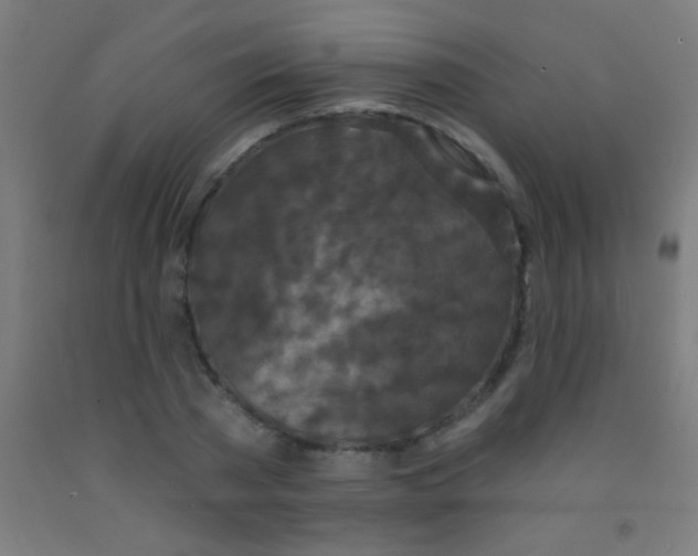 X0000092010785200709271528