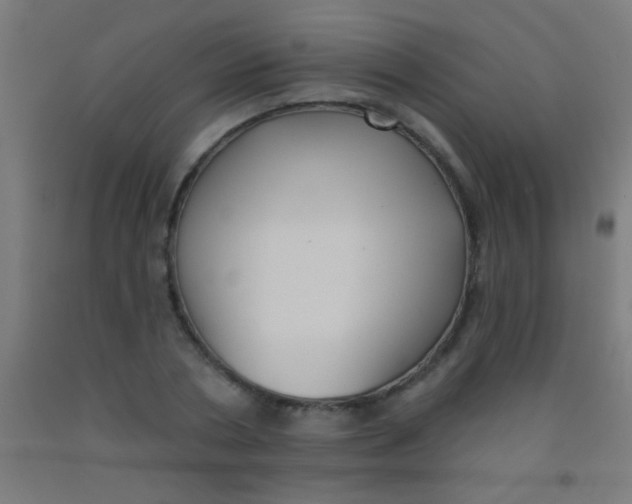 X0000092010786200709271528