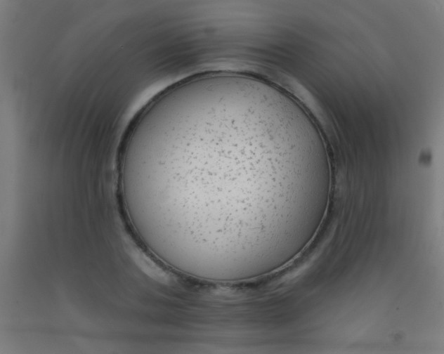 X0000092010787200709271528