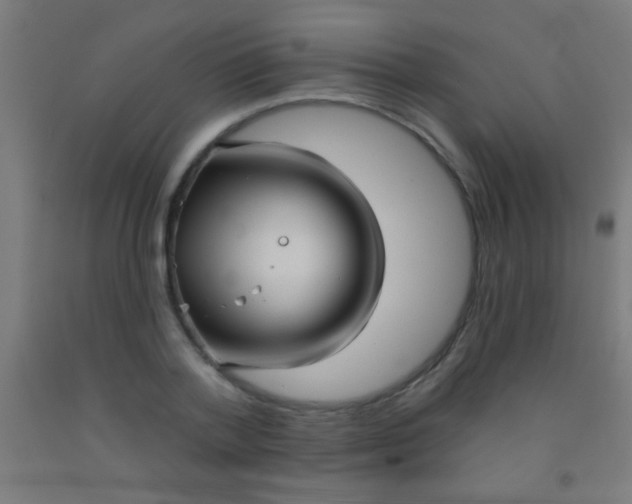 X0000092010788200709271528