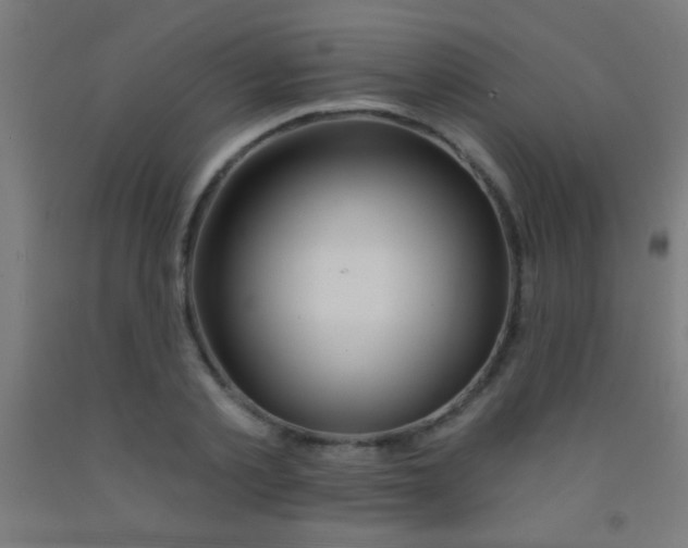 X0000092010789200709271528