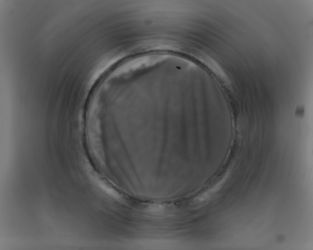 X0000092010790200709271528