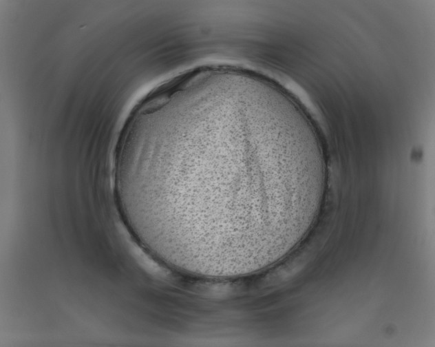 X0000092010791200709271528