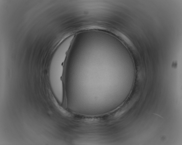 X0000092010793200709271528