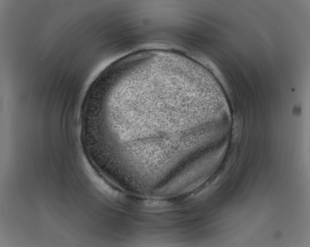 X0000092010795200709271528